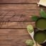 té matcha propiedades y contraindicaciones