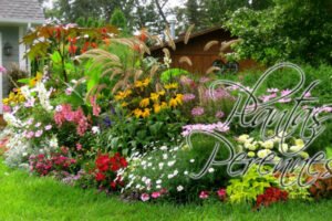 Tipos de Plantas Perennes, plantas para hogar, mejores plantas, flores perennes, plantas perennes mas bellas