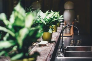 cuando podar plantas de interior, planta de interior sin luz